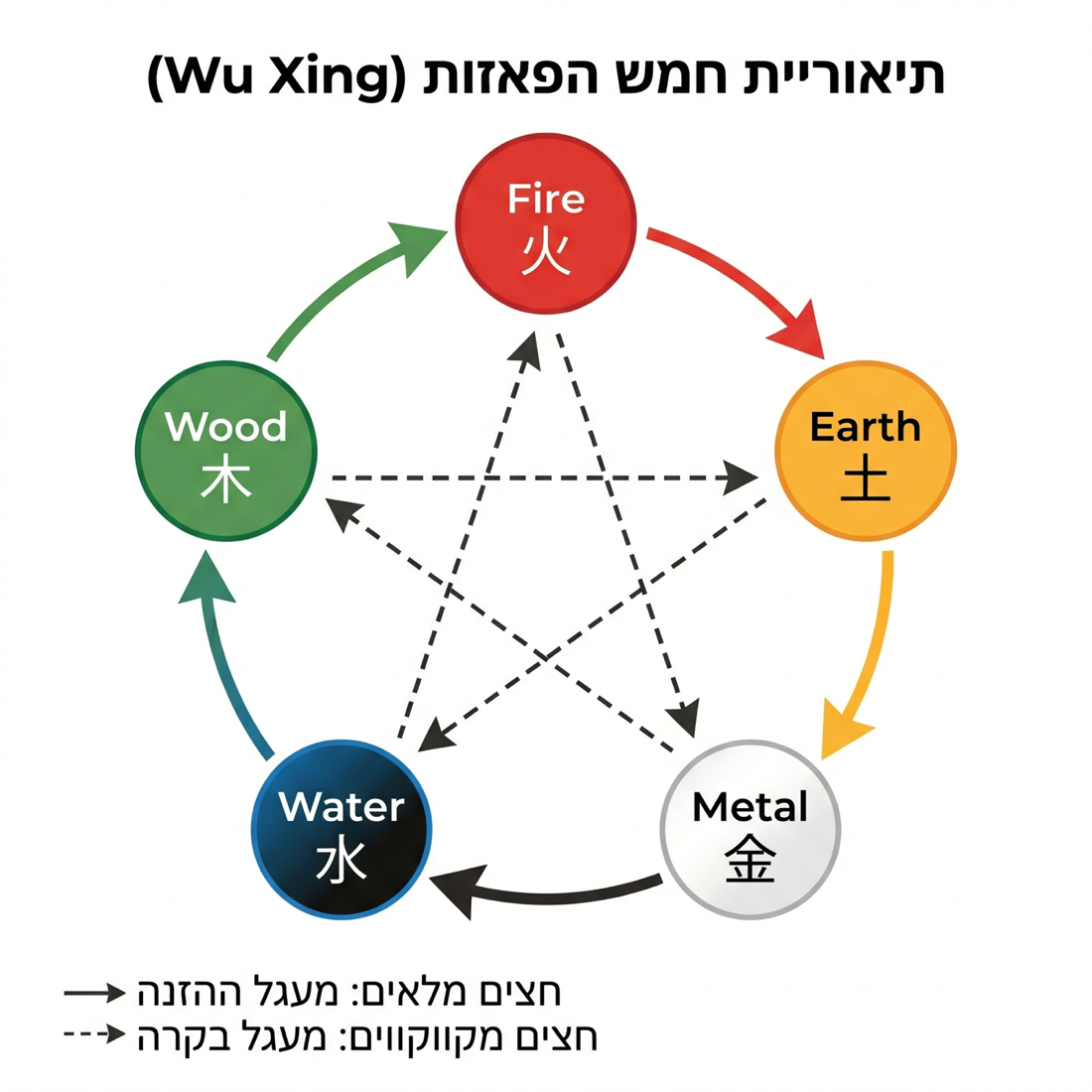 תרשים חמש הפאזות (Wu Xing): עץ, אש, אדמה, מתכת ומים. חצים מלאים מסמנים את מעגל ההזנה (Sheng) וחצים מקווקווים את מעגל הבקרה (Ke).